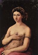 RAFFAELLO Sanzio Portrait of a Young Woman oil